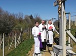Biskup u miru Josip Mrzljak predvodio misno slavlje u kapeli Majke Božje Snježne te blagoslovio novi križ u Žarovnici